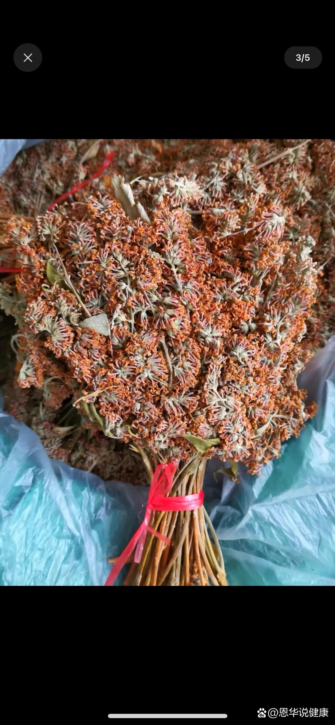 蒙花的功效与作用图片图片