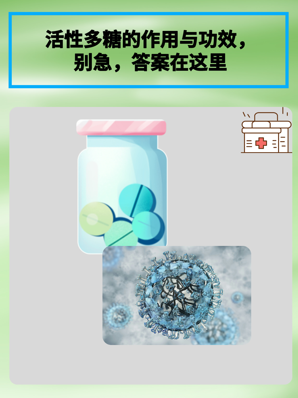 活性多糖的作用与功效