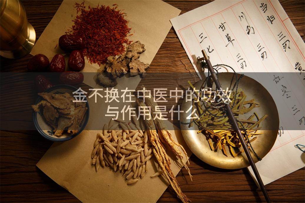 金不换在中医中的功效与作用是什么