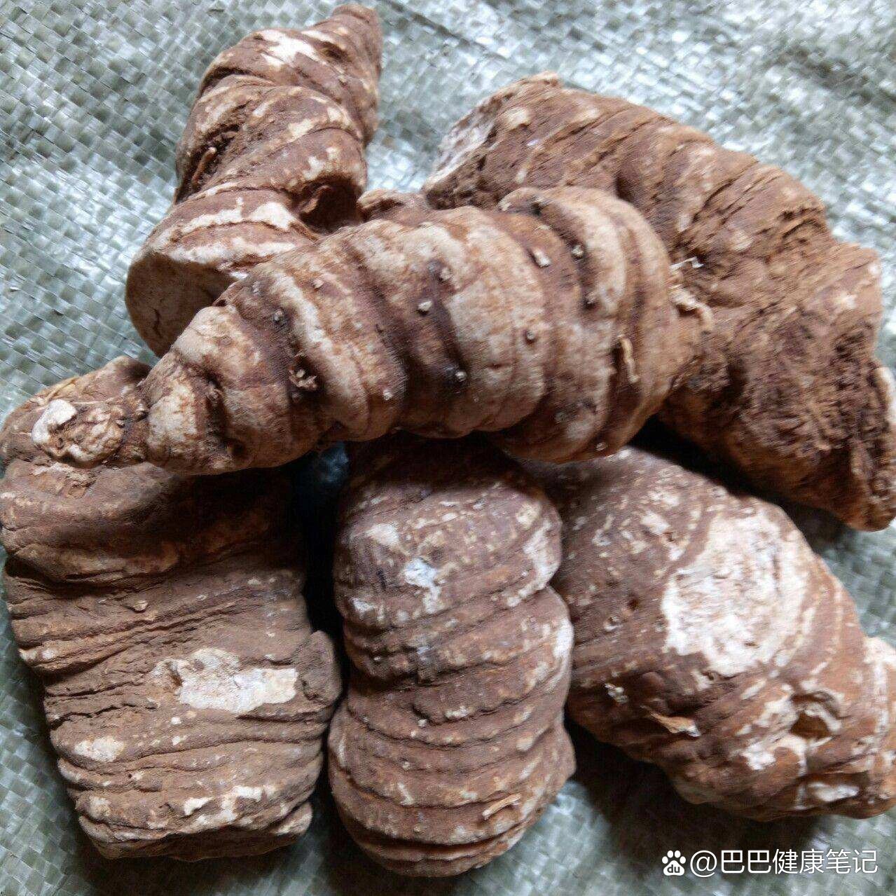 本草纲目—七叶一枝花(重楼)