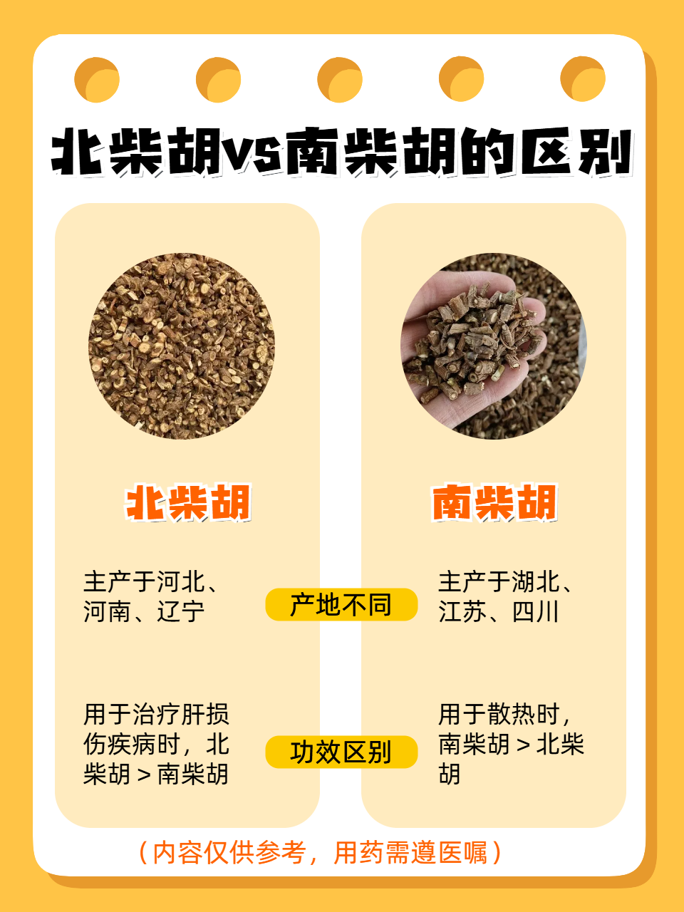 北柴胡vs南柴胡,有何区别?其实很好分清