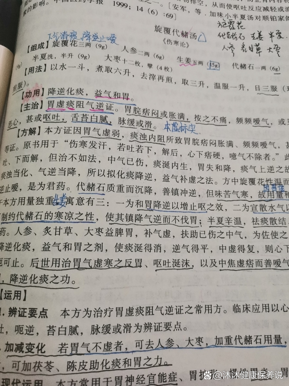 参赭镇气汤加减医案图片