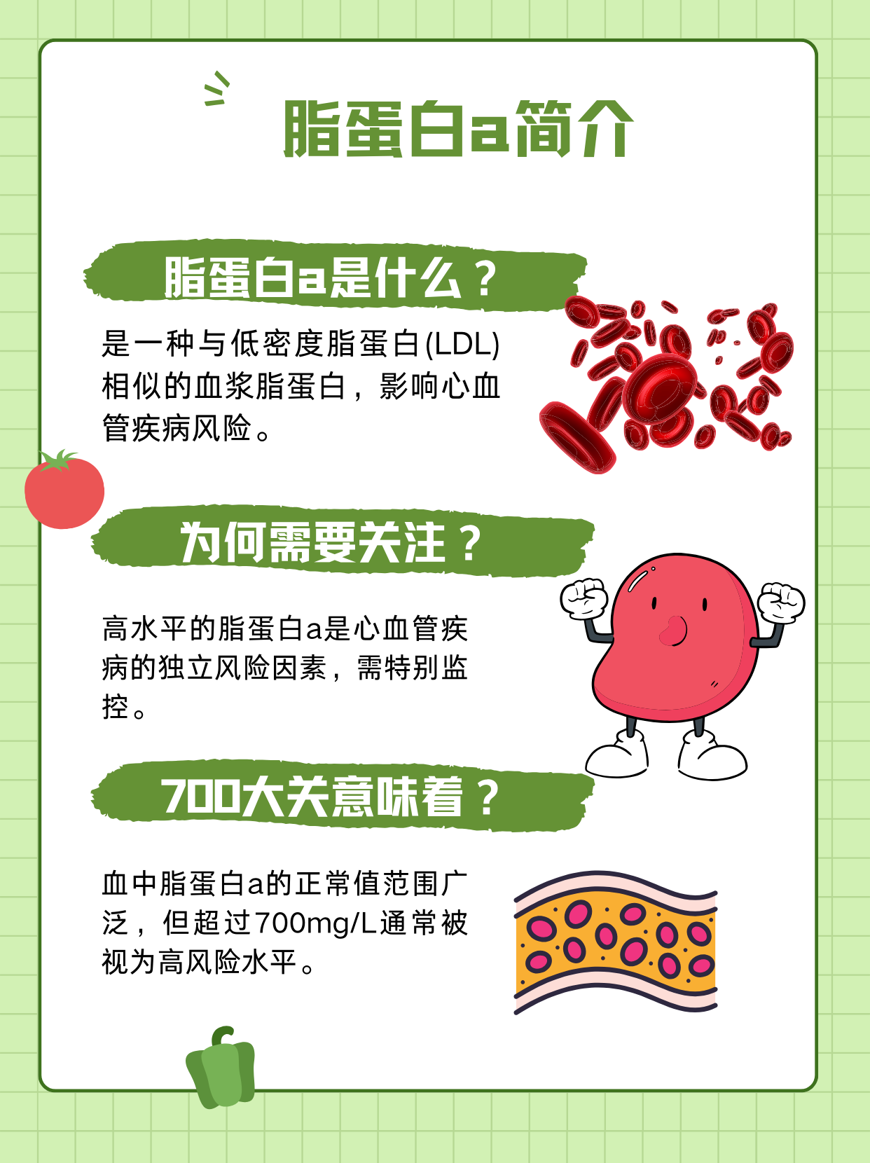载脂蛋白a高 全网资源