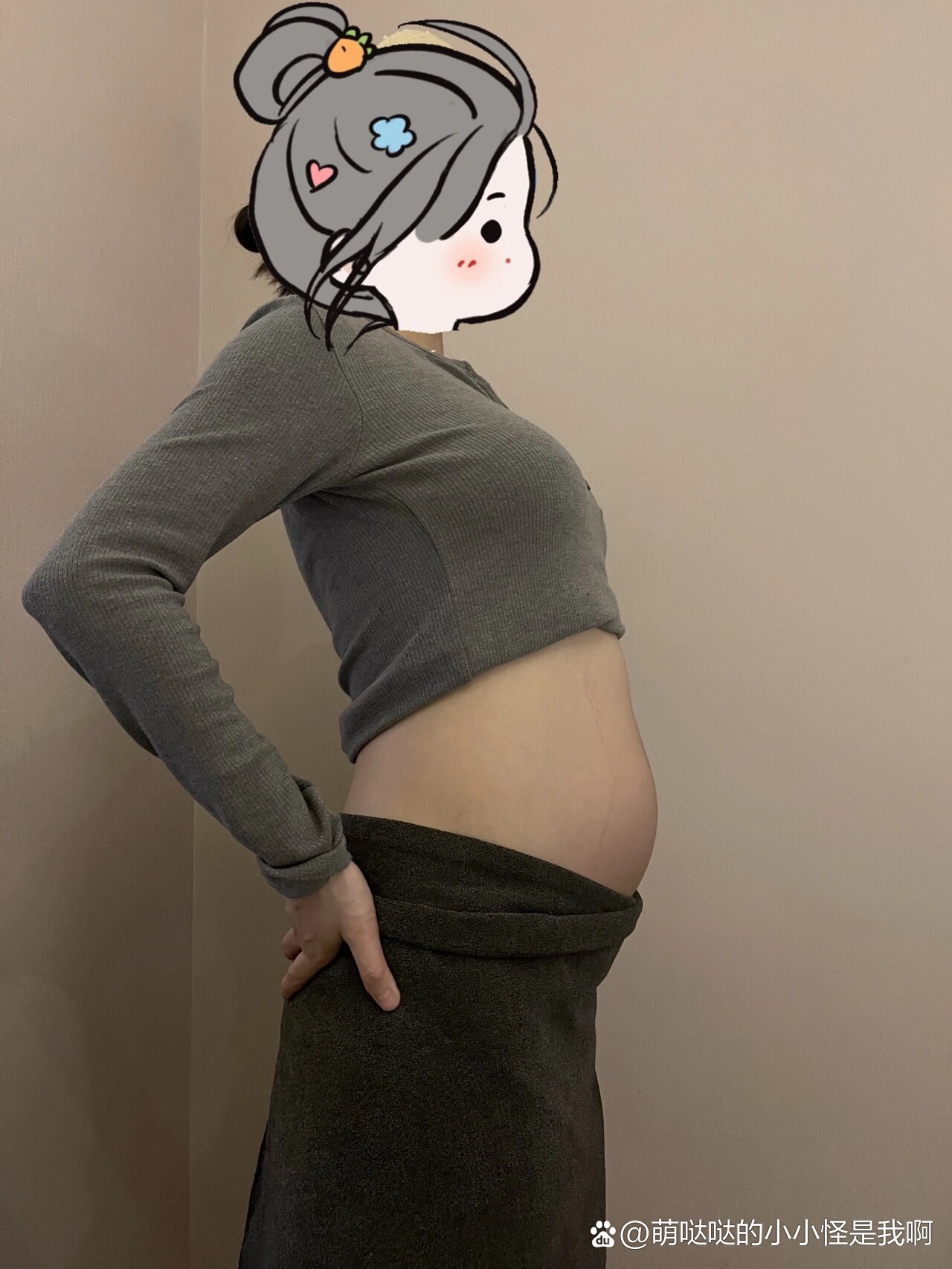 七个月大孕妇的小肚子