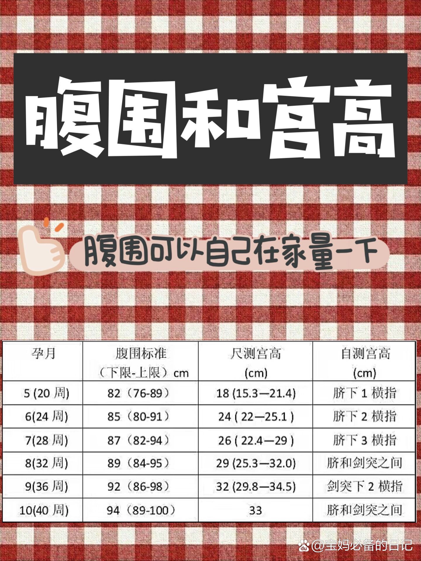 腹围和宫高