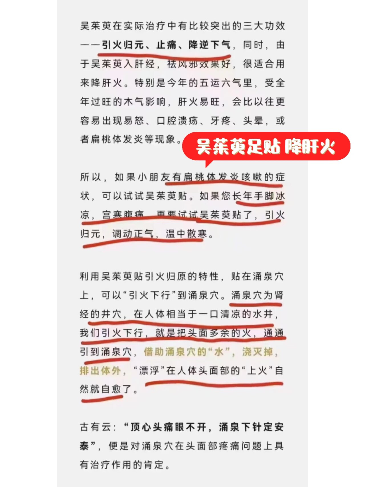 吴茱萸足贴