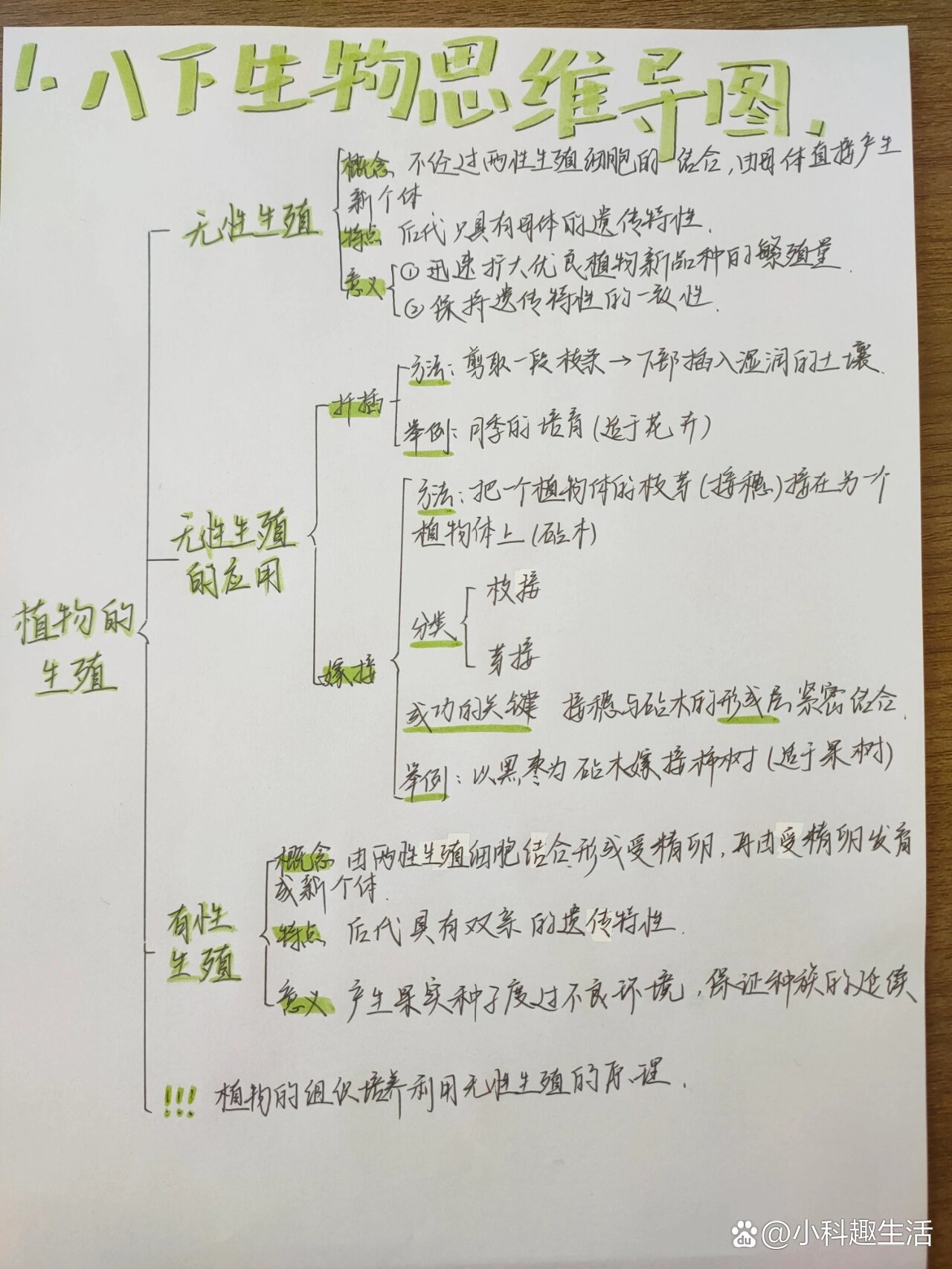 八下生物思维导图《植物的生殖》