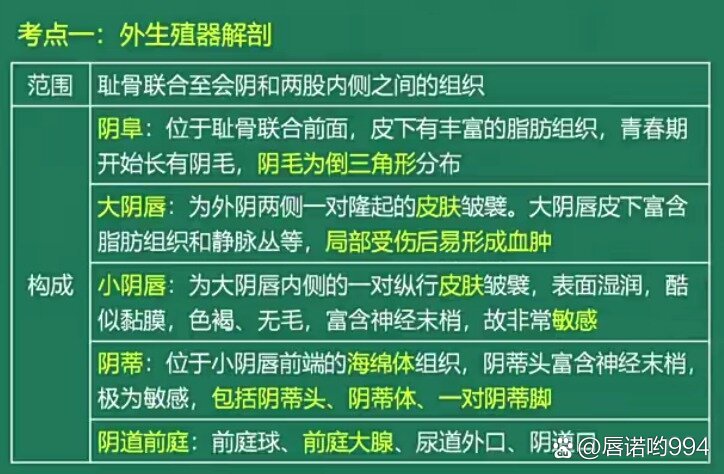  br>前庭大腺解剖位置:大阴唇的后部,被球海绵体肌覆盖