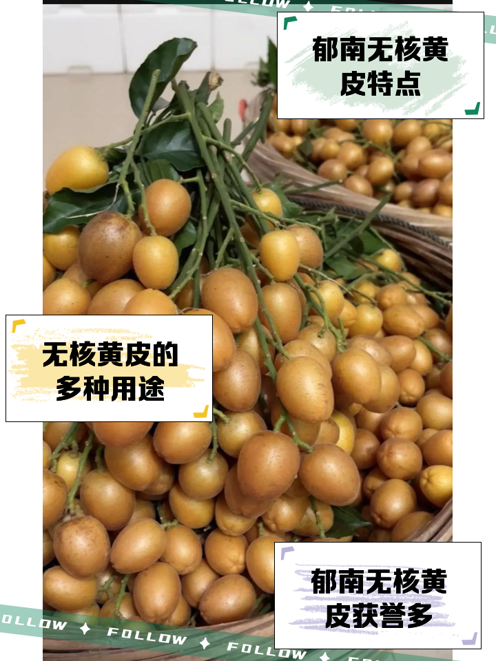 郁南无核黄皮