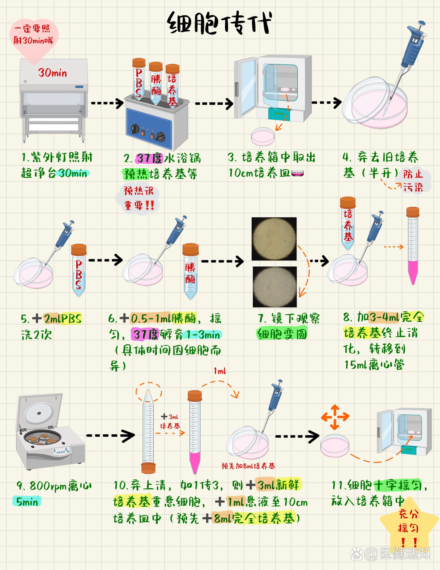 消毒后半小时后再进入,还需要75%酒精棉擦拭超净台和