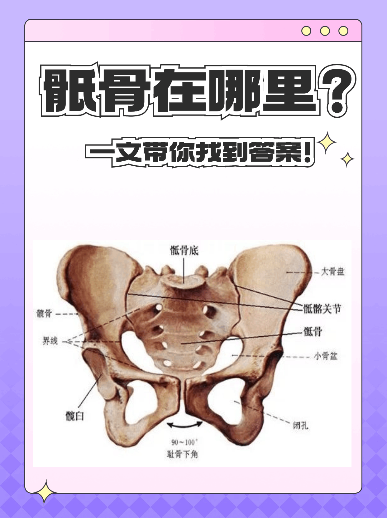 骶骨的作用图片