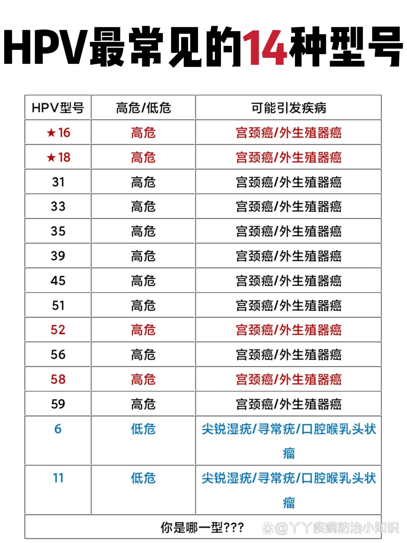 hpv常见的14种型号