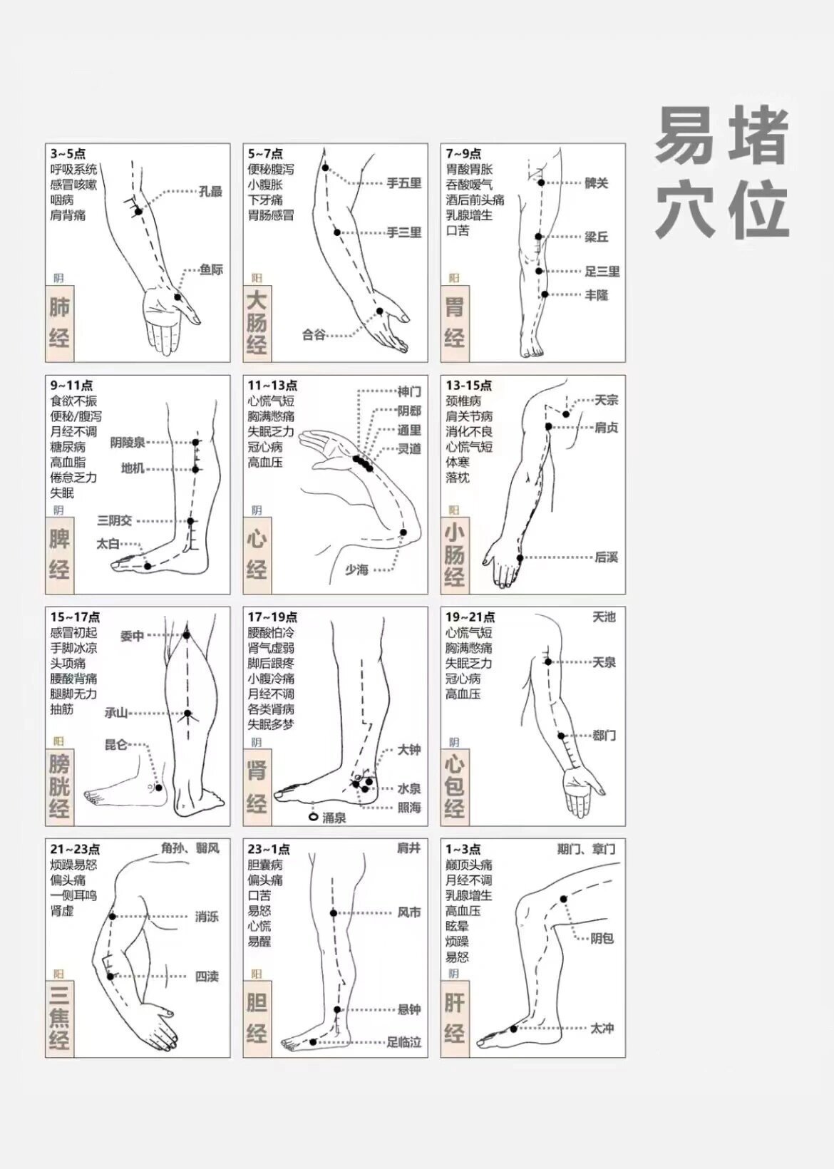 中医十二经络穴位与主治功效