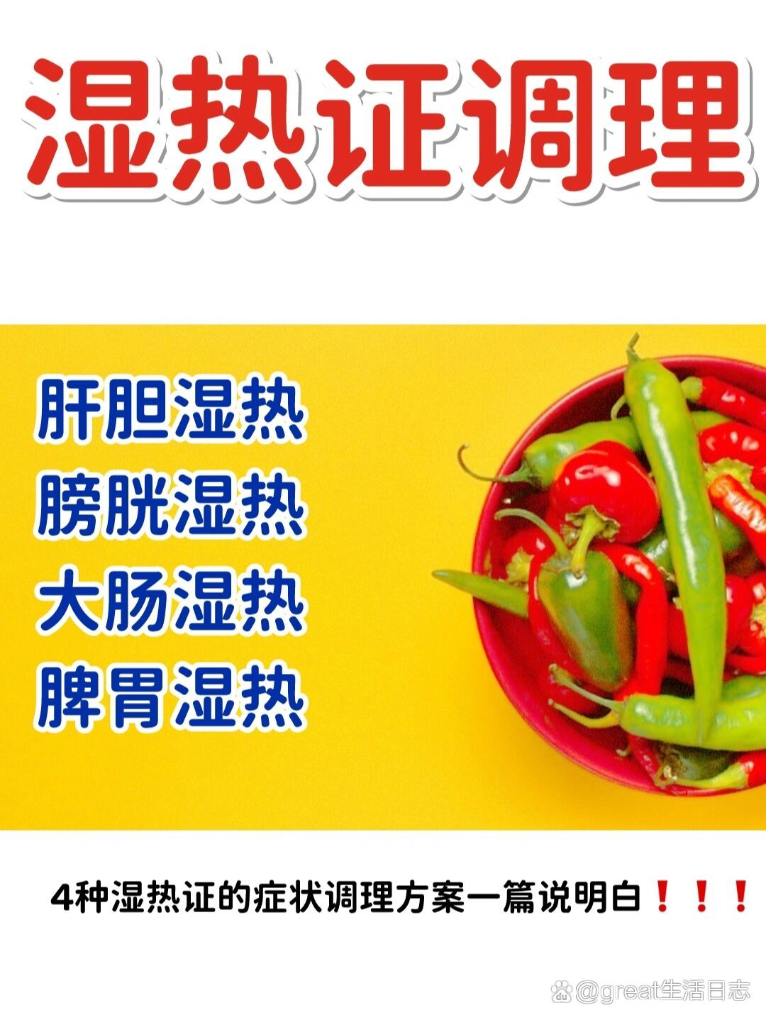 湿热蕴结证 全网资源