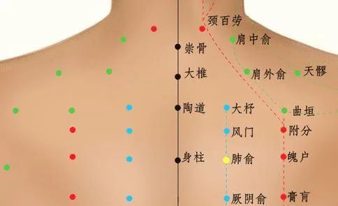 五脏俞穴的位置及作用详解