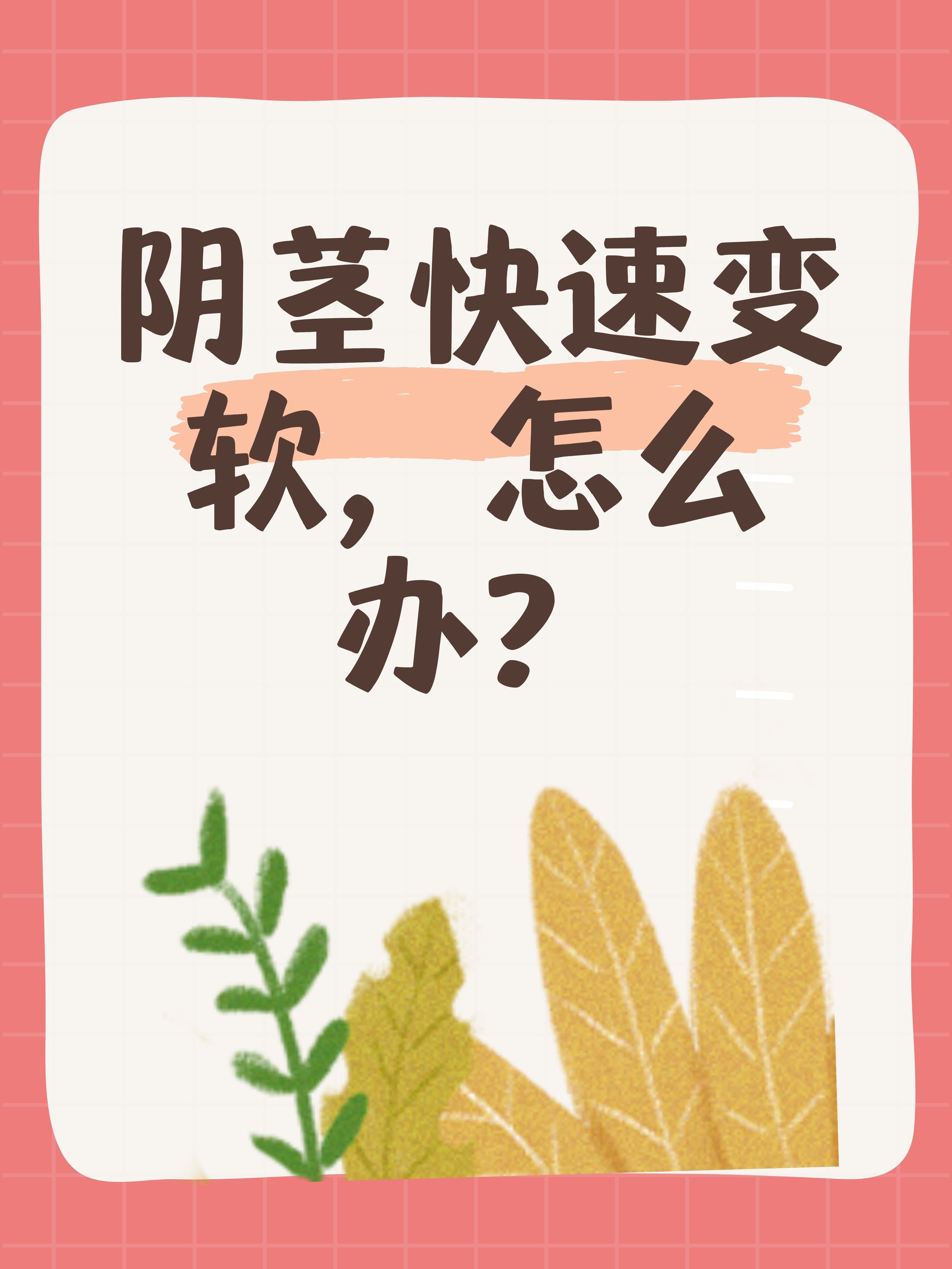 为什么鸡鸡会流水