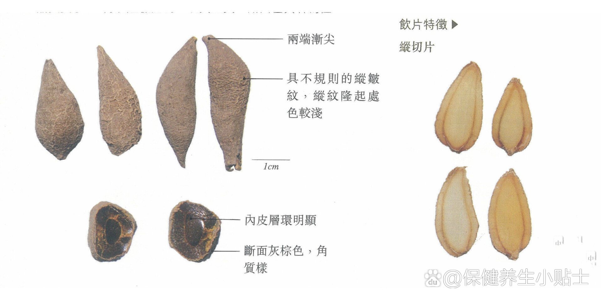 《中药学》凌一揆主编 br>郁金  (《新修本草》) br>【性味归经】辛
