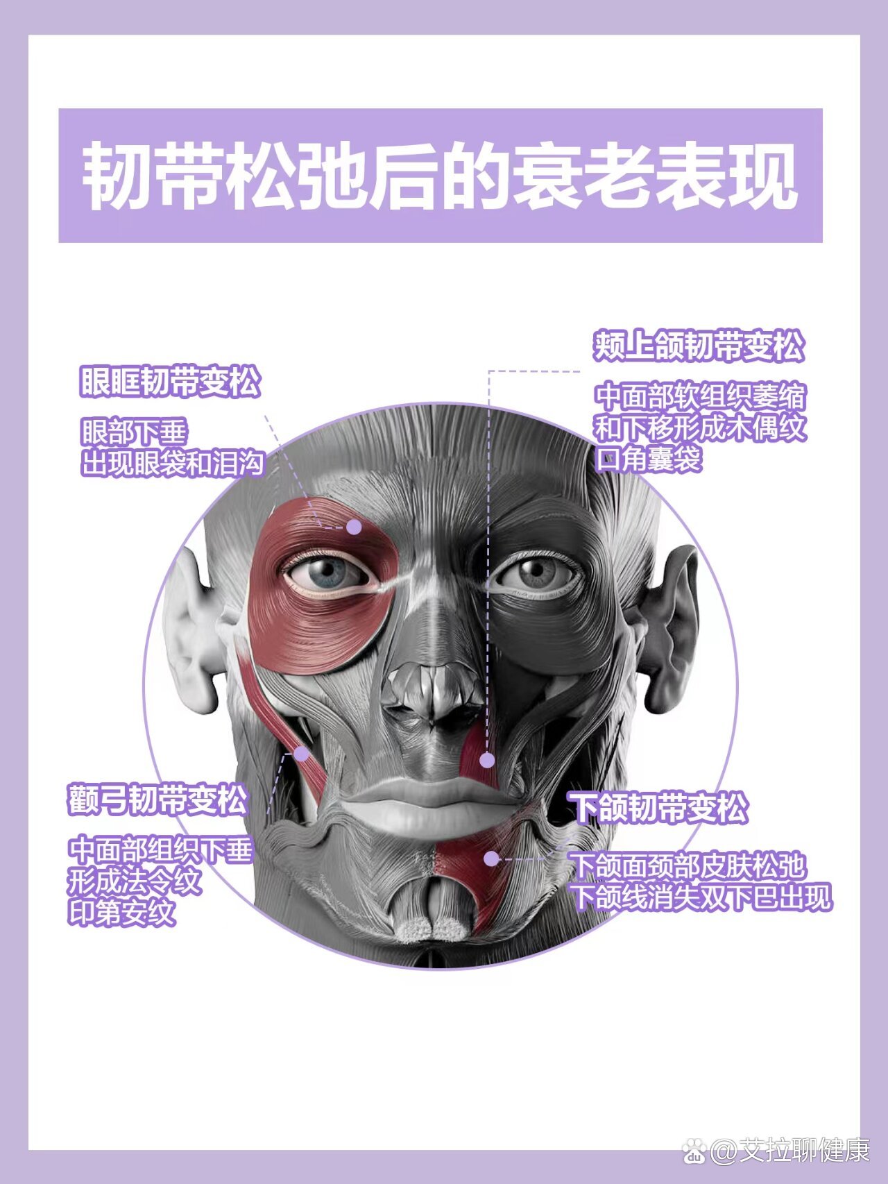 ㊙️拯救垮脸韧带定点提升原理