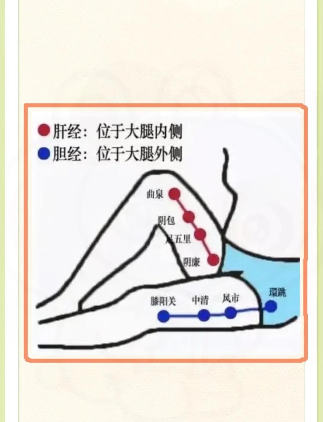 早敲胆经晚推肝经，轻松养生