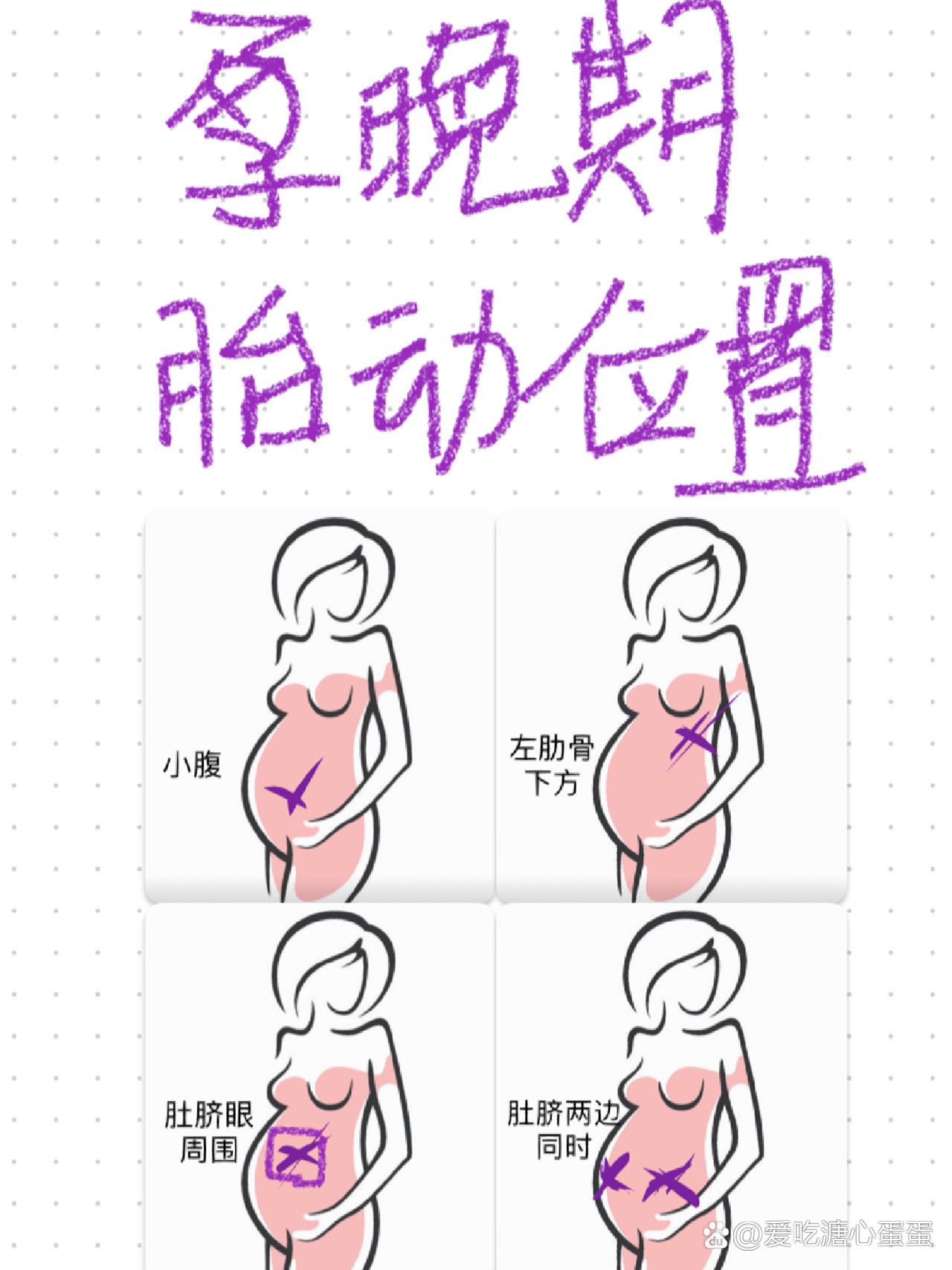 22周胎动位置示意图图片