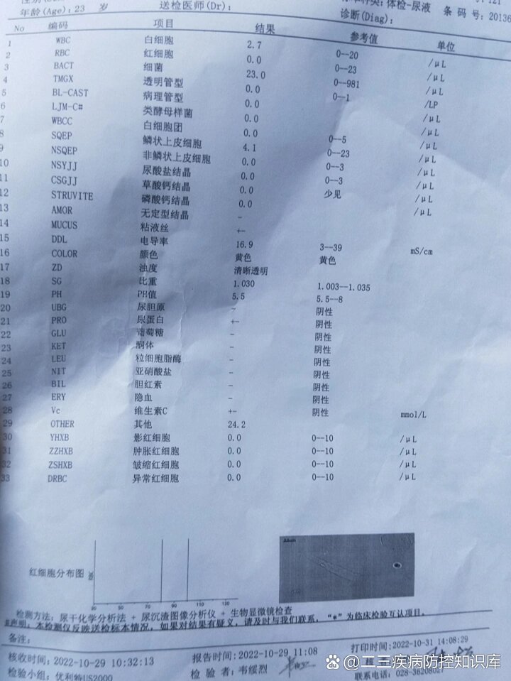 尿蛋白阳性图片