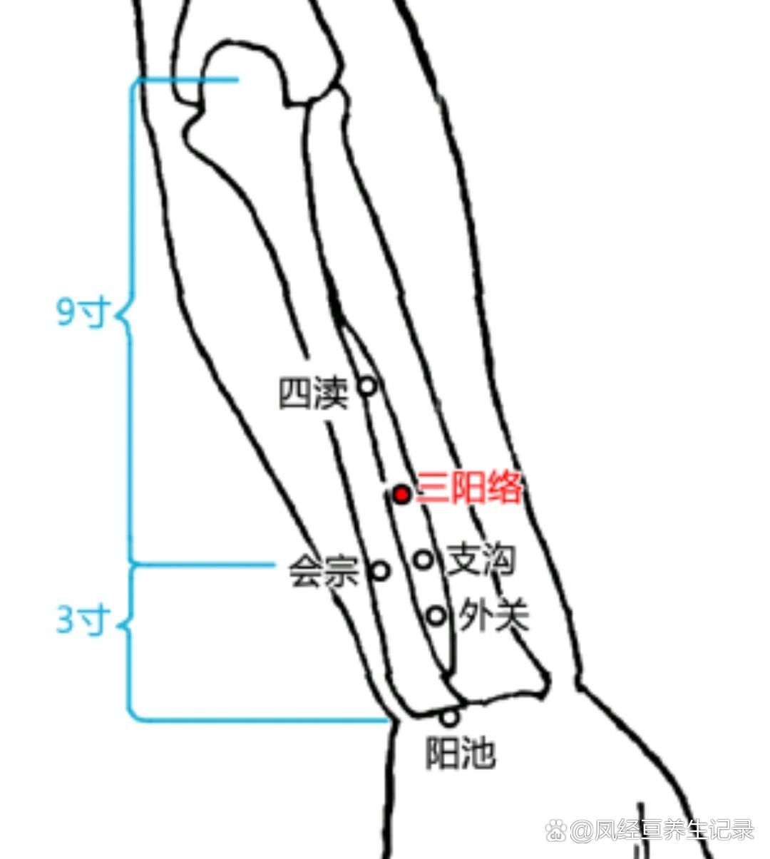 手三阳经的位置图图片