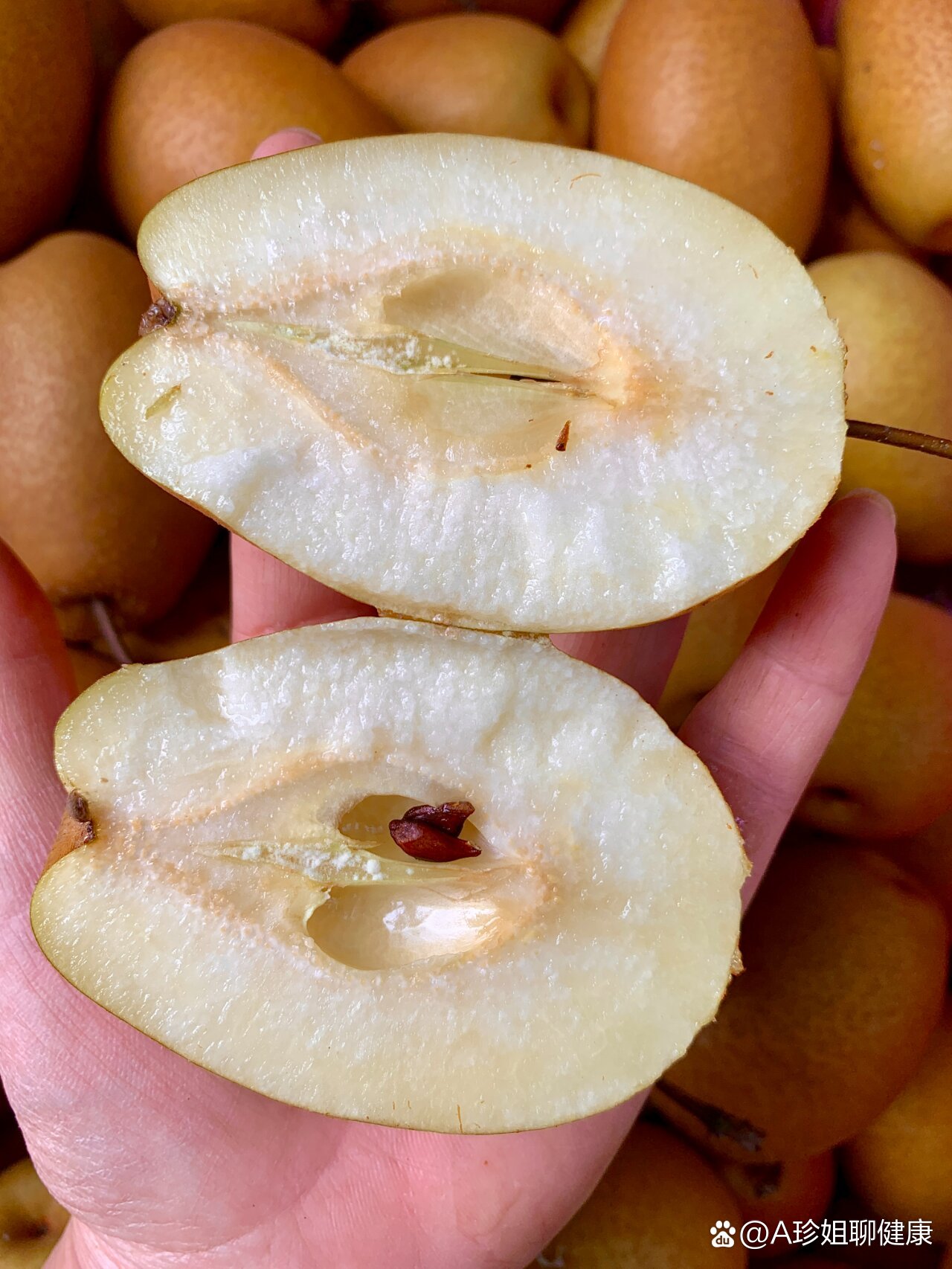 镇咳化痰润肺小沙梨