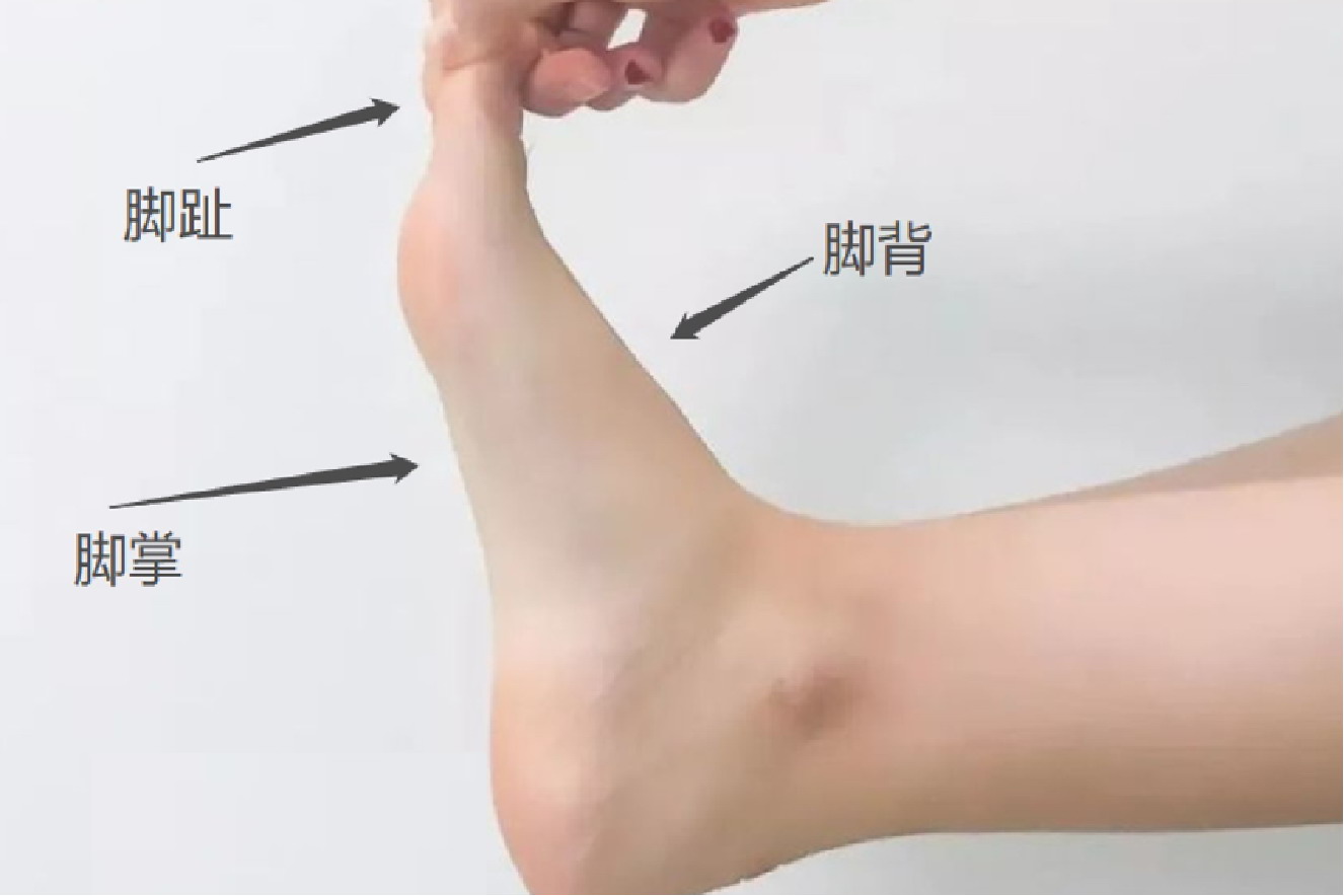 脚部位名称图解 | 百度健康·医学科普