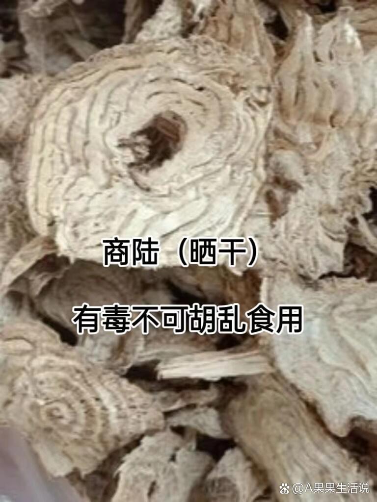 科普中91药 商陆 一味泻下92