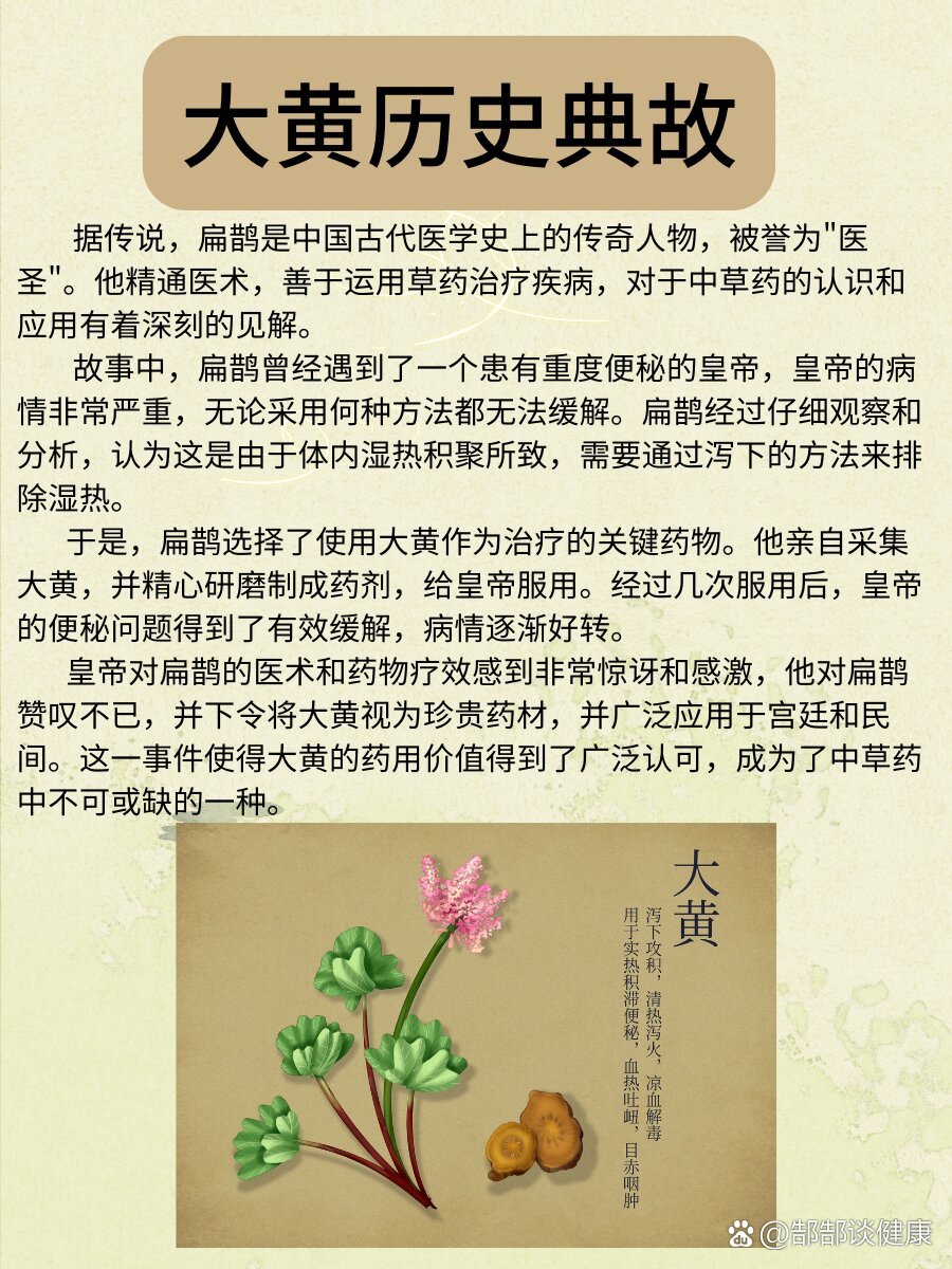 每天了解一味中草yao