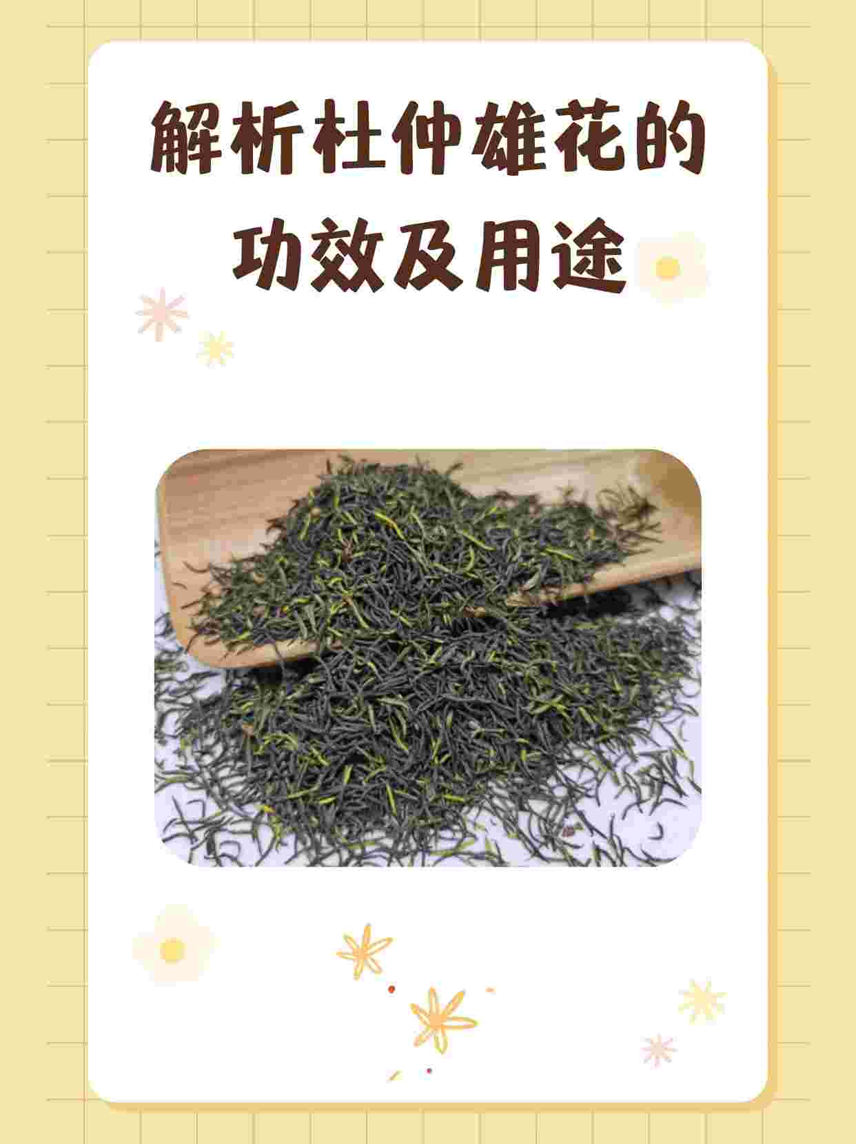 解析杜仲雄花的功效及用途