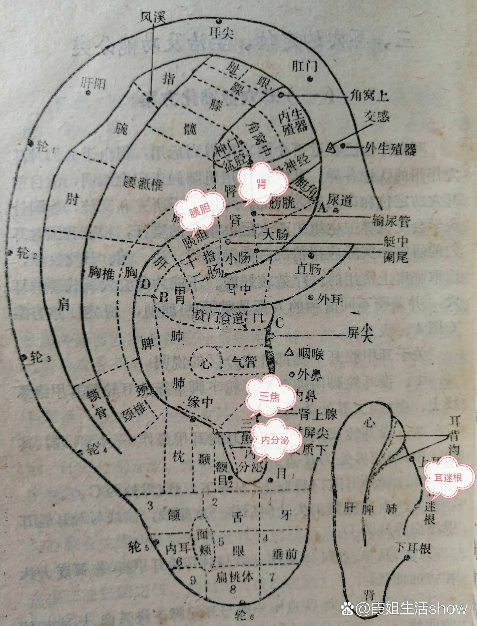 消渴主穴及配穴