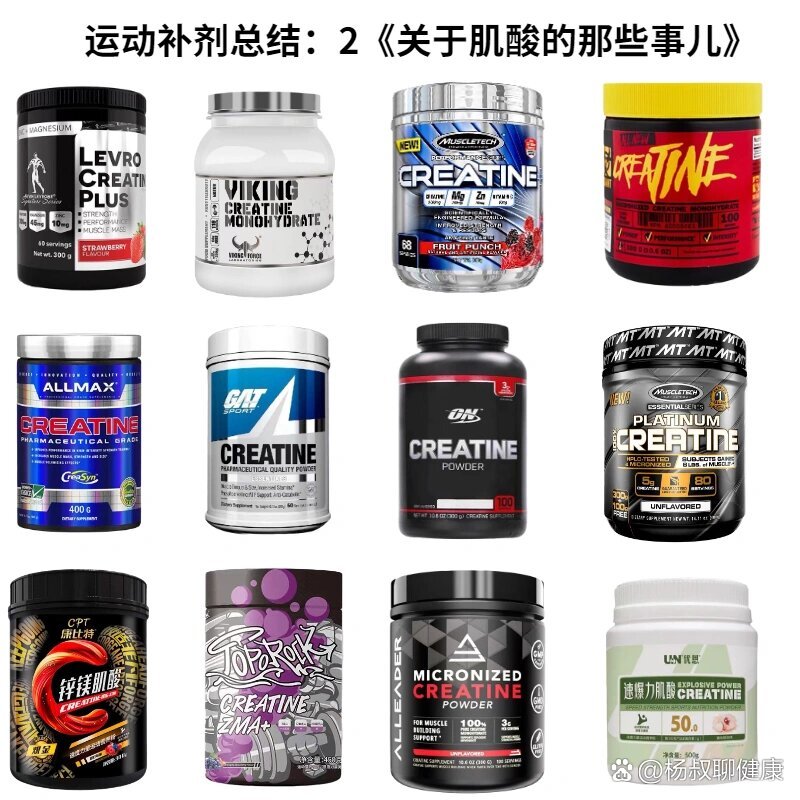 肌酸是什么东西 全网资源