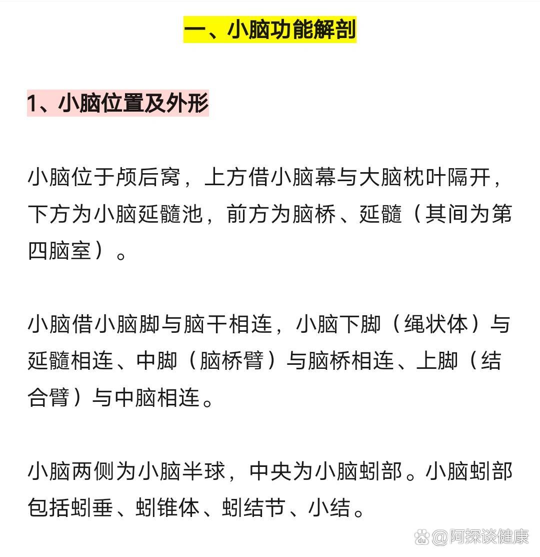 小脑的功能解剖及受损表现