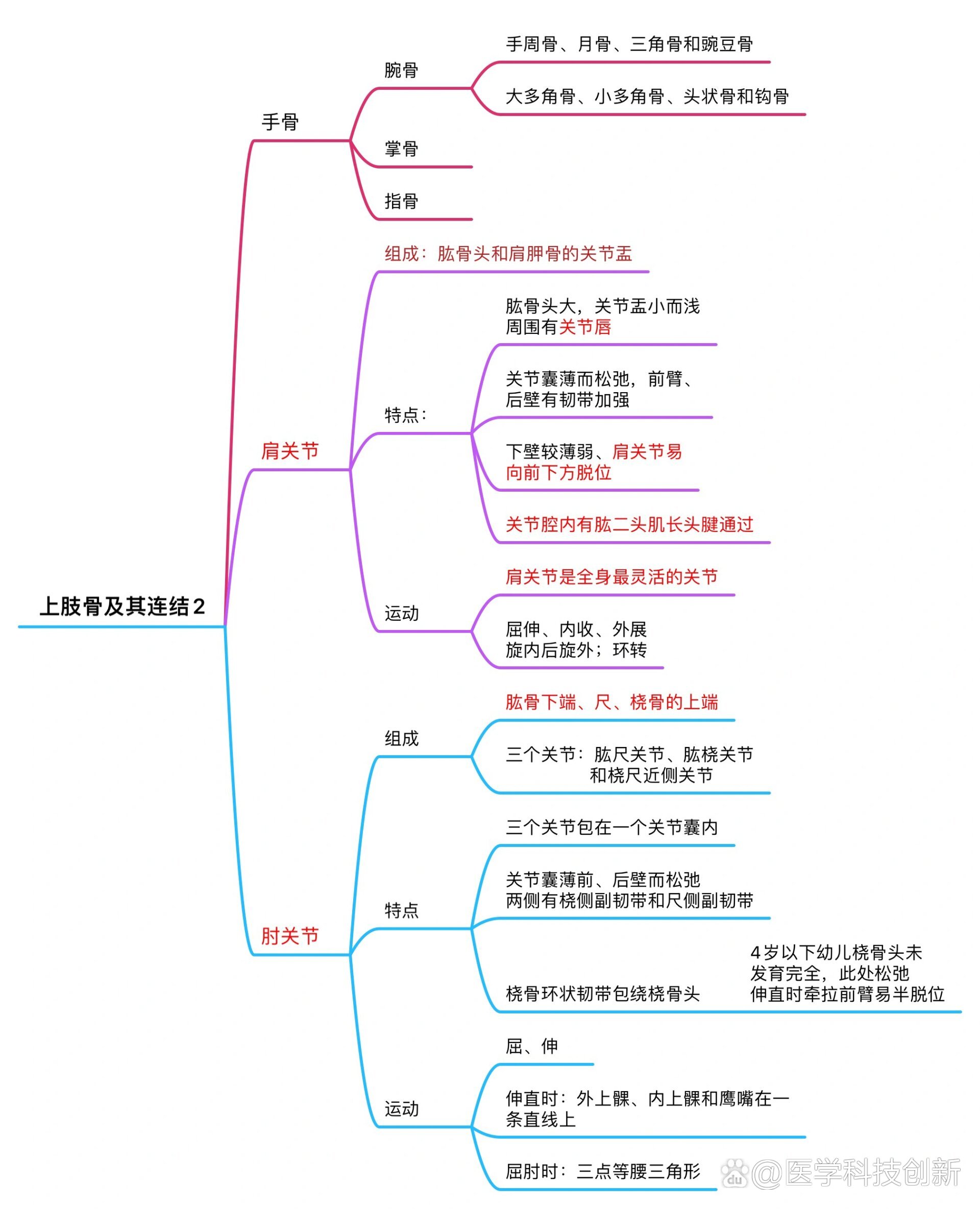 运动系统结构图简笔画图片