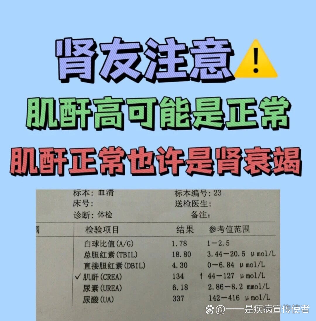 肌酐高是什么原因图片