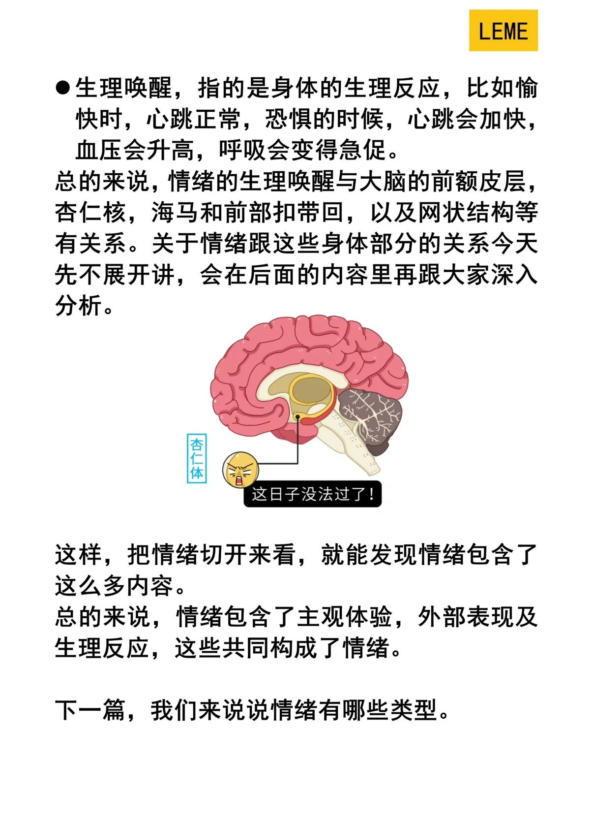 情绪到底是什么？