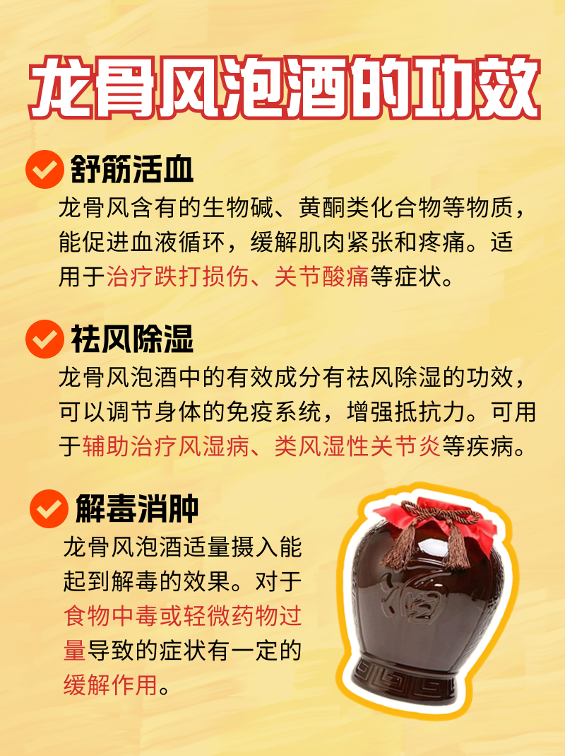 今日分享:龙骨风泡酒的功效