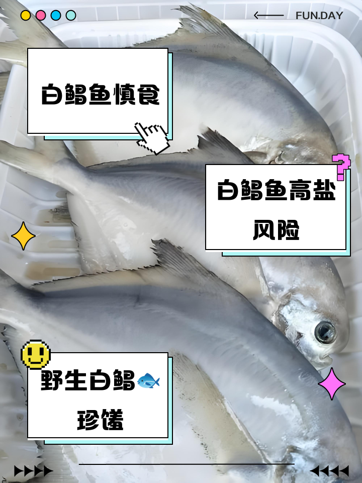 白鲳鱼尽量少吃的原因