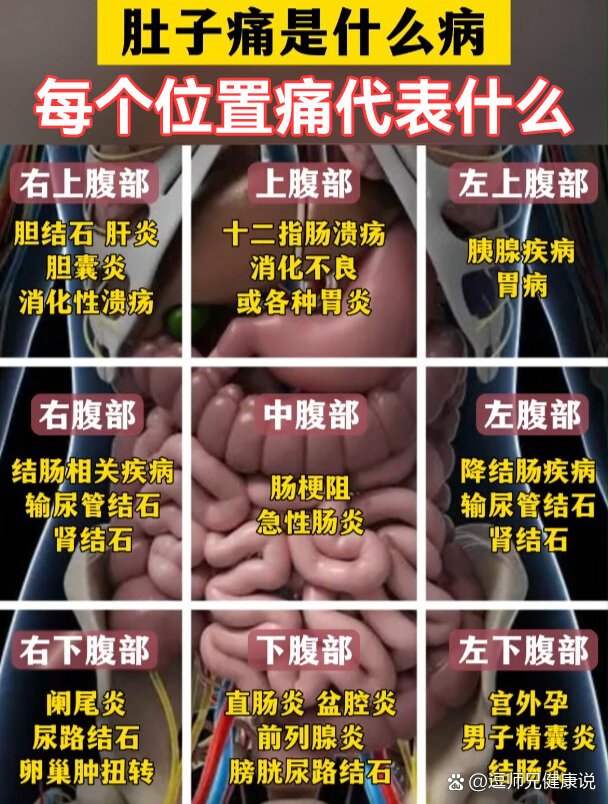 腹部疼痛9位置图女图片