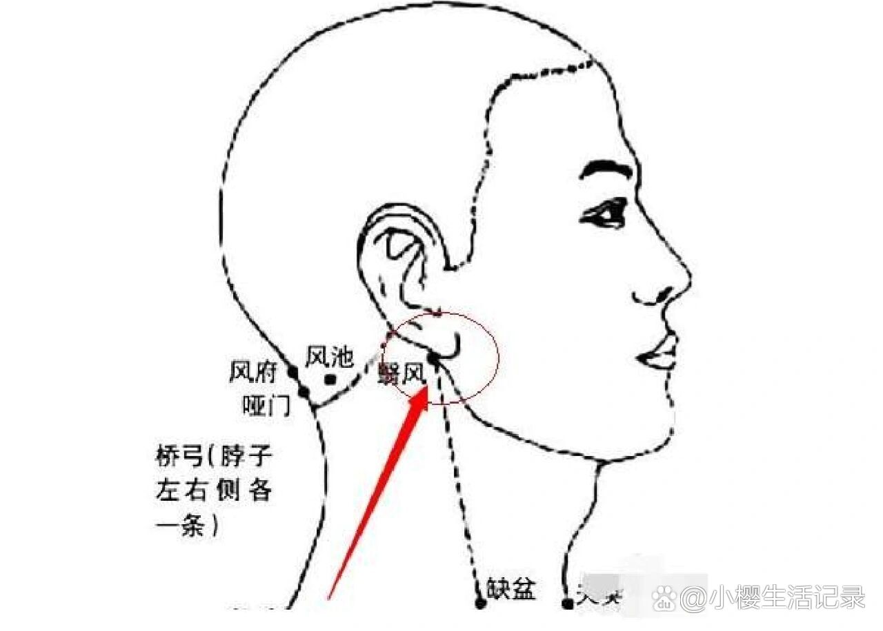 翳风位置有痣图解图片