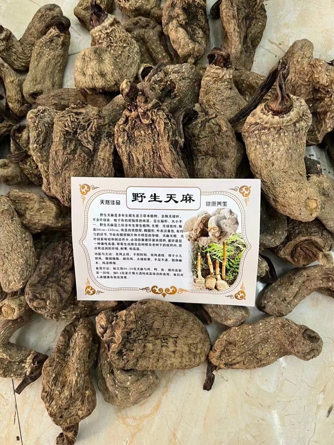 天麻头风痛丸图片