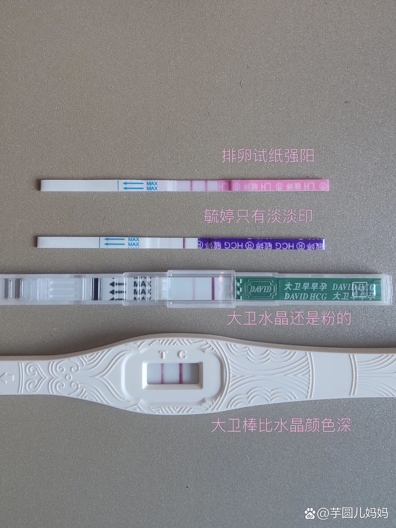 大卫梅花验孕棒图解图片