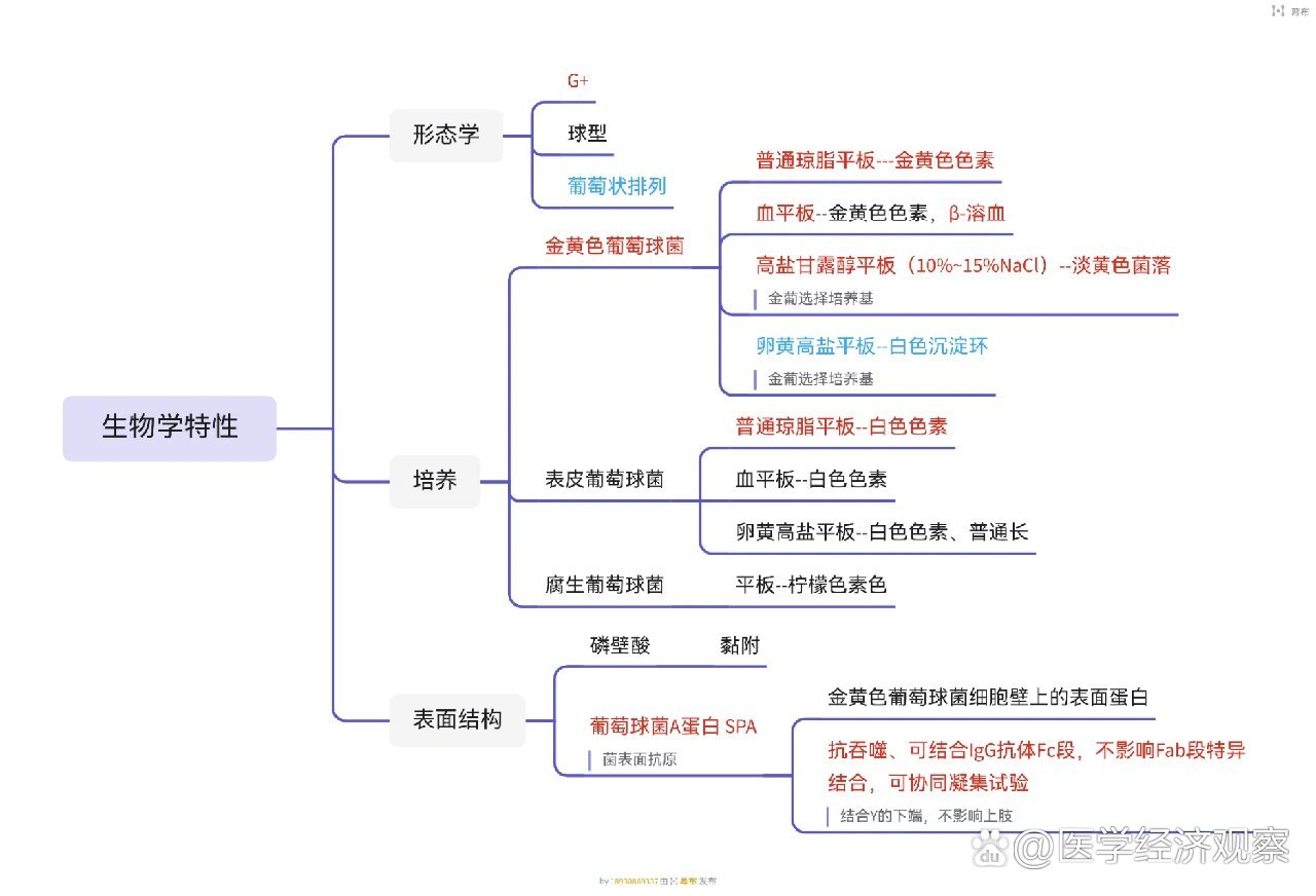 葡萄球菌属丨思维导图