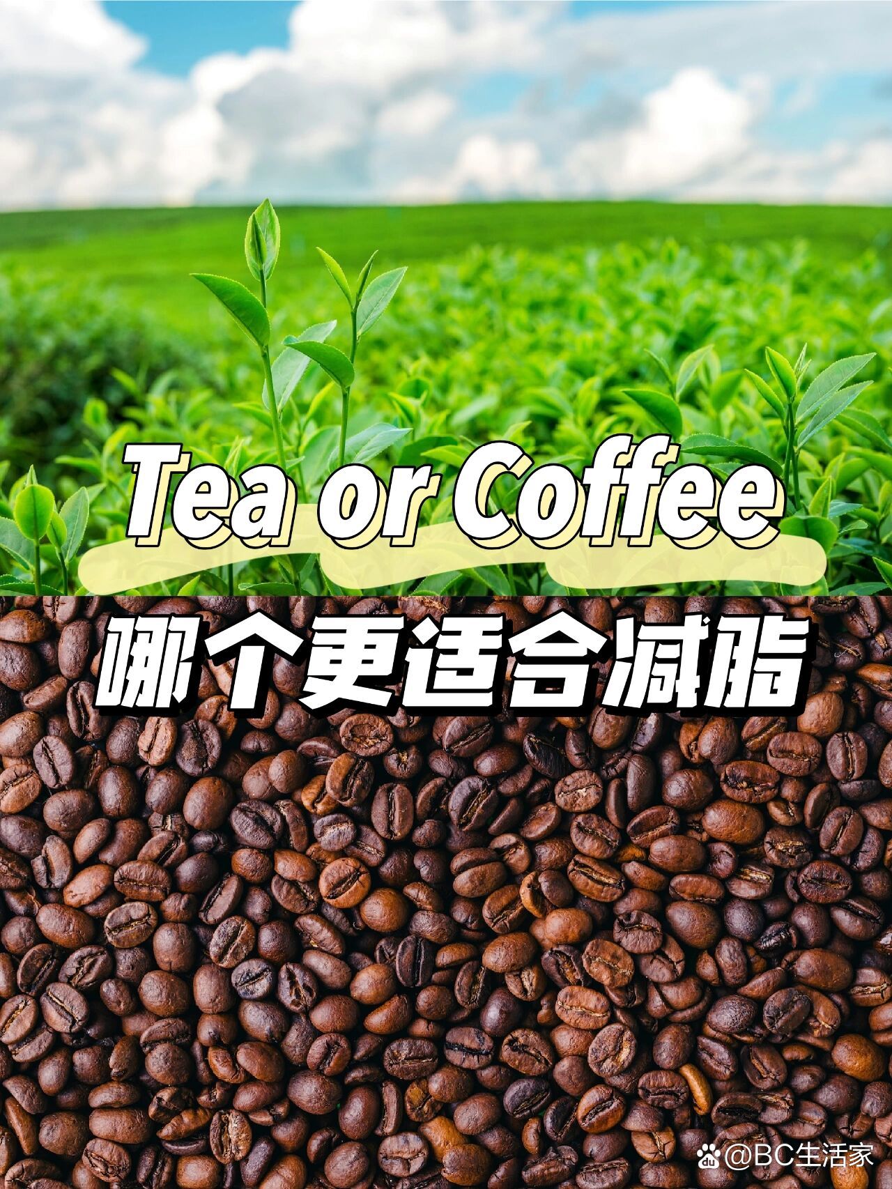 pcoffee or tea?