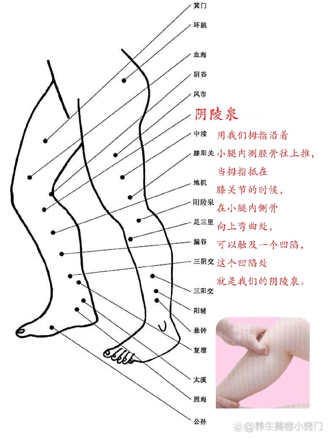 腿部学反射位图解大全图片