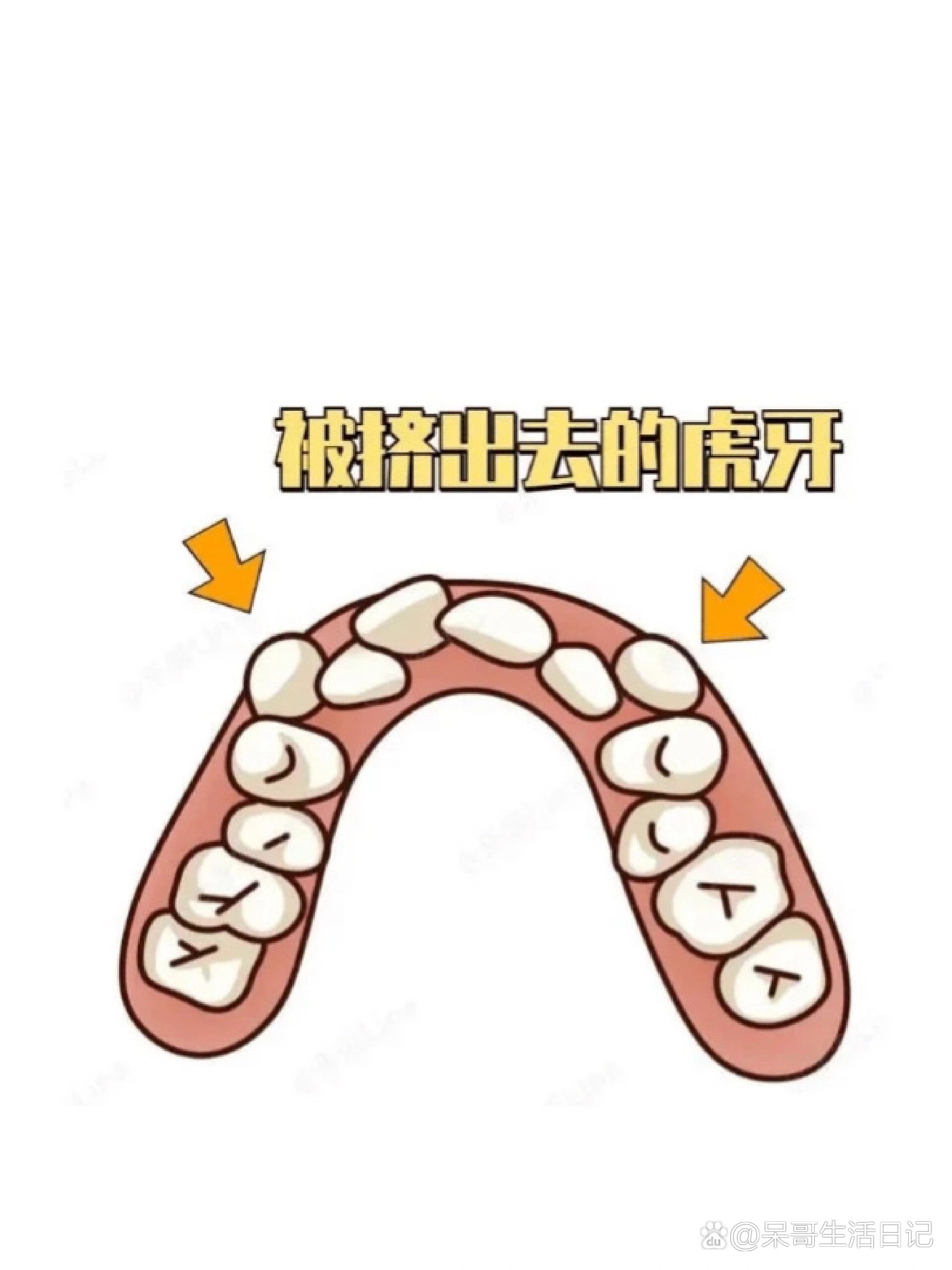 可爱的虎牙翘起来