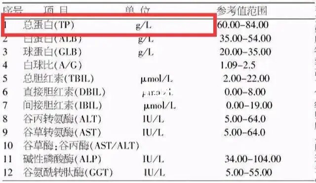 白蛋白,总蛋白偏低/偏高到底怎么回事?