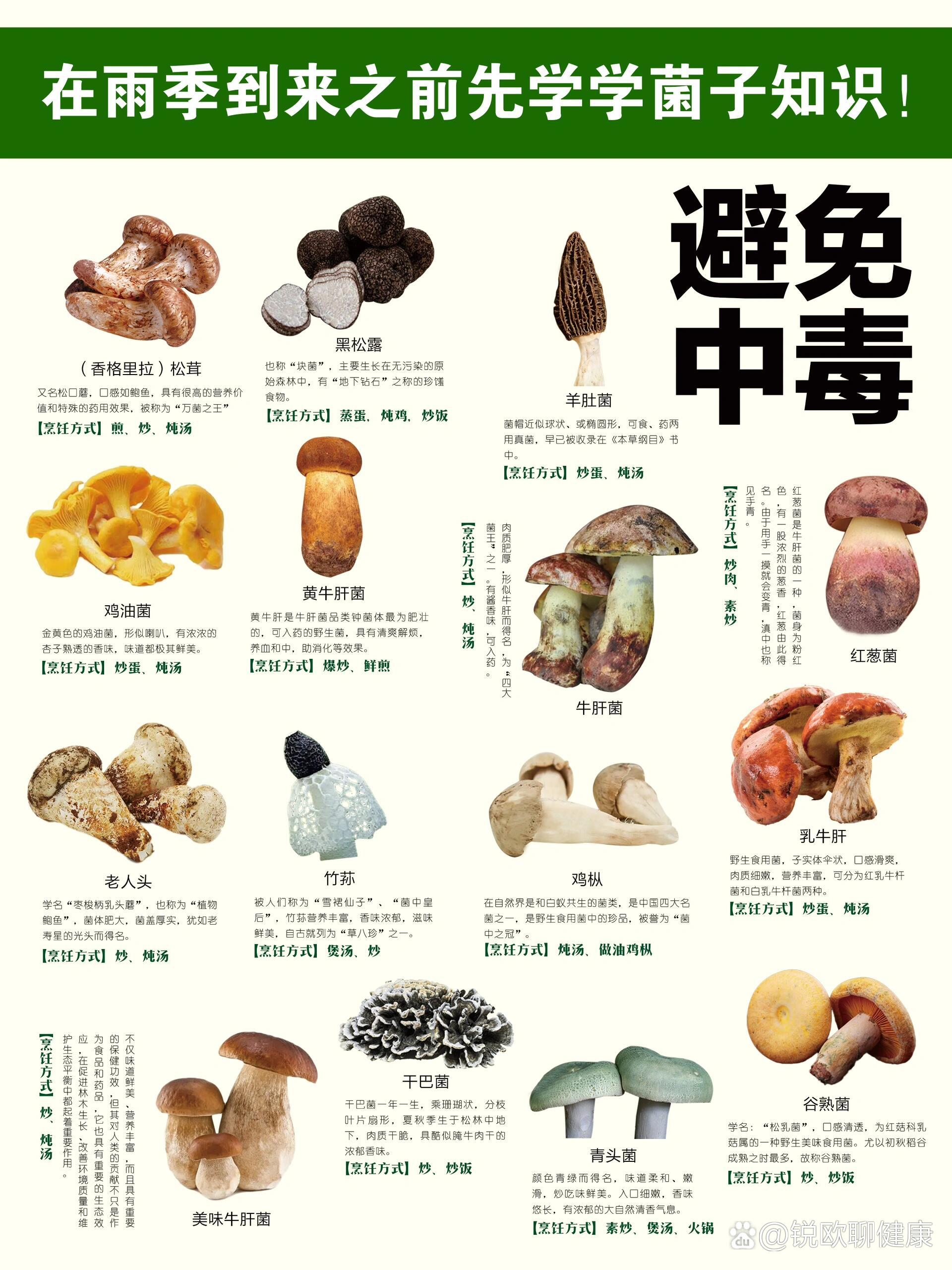 野生菌又称蘑菇,蕈,是一类大型真菌,按照能否食用,可分为食用菌和毒菌