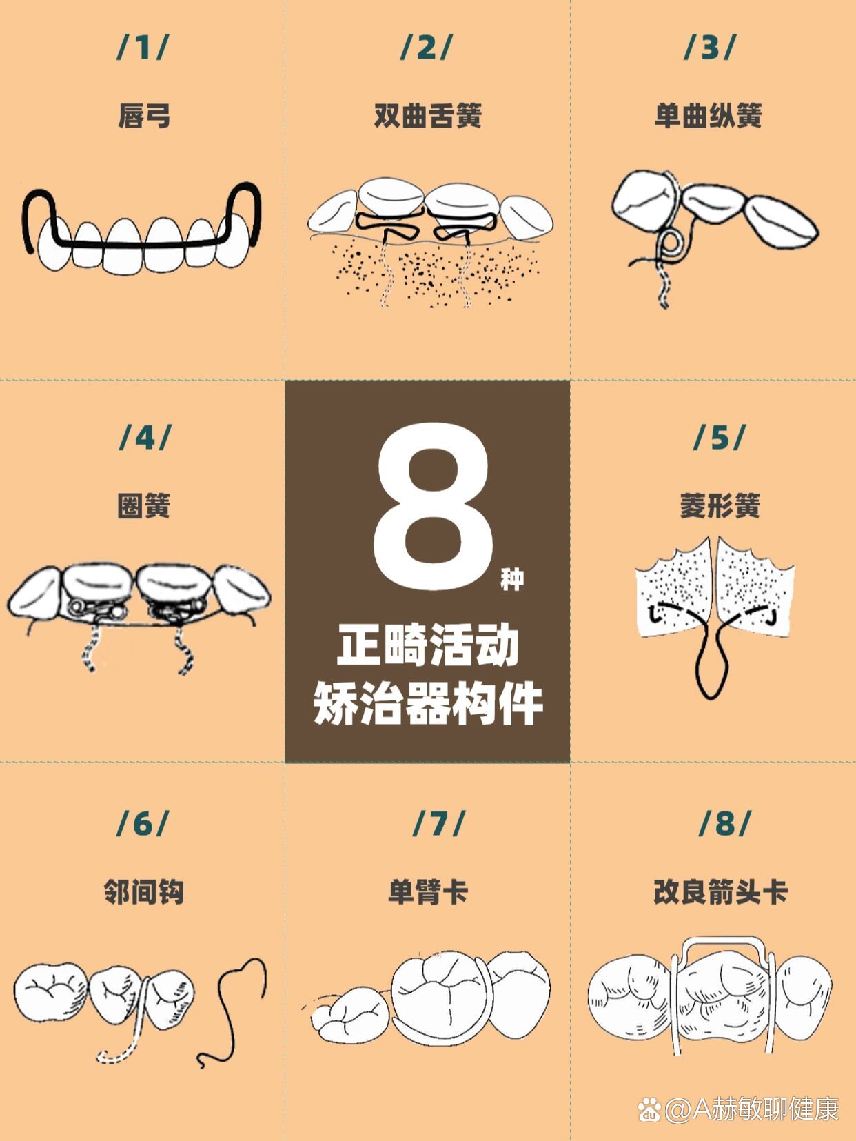 正畸垂直牵引示意图图片